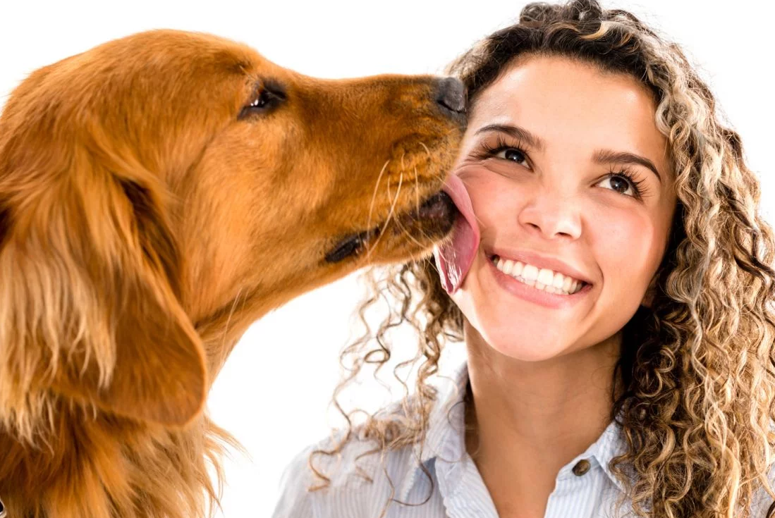 cachorro marrom lambendo o rosto de uma mulher de cabelos cacheados