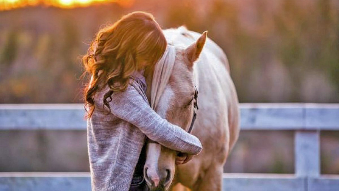 menina abraçando um cabalo manso