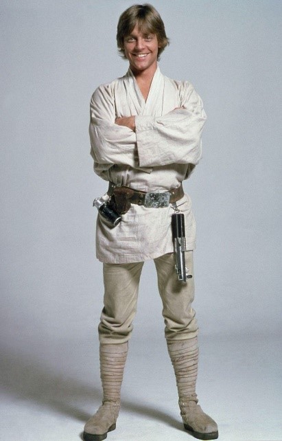 foto do famoso lutador Luke Skywalker
