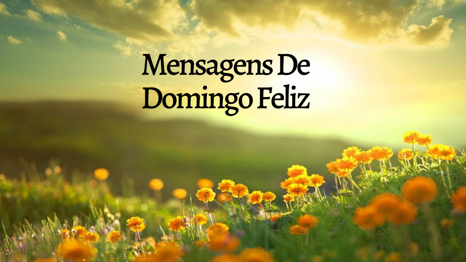 → 50 Mensagens De Domingo Feliz Para Enviar Para Pessoas Especiais