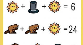 Você é bom em matemática? Tente resolver este desafio