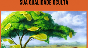 Diga a primeira coisa que você viu nessa imagem e eu direi qual é a sua qualidade oculta