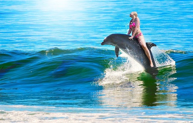 mulher montada em um golfinho no mar