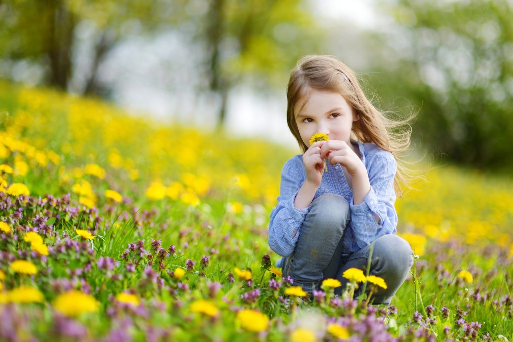 criança sentada no jardim de flores amarelas
