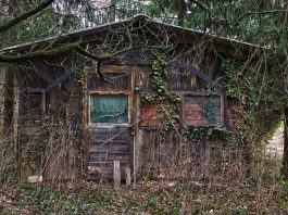 casa de madeira abandonada na floresta
