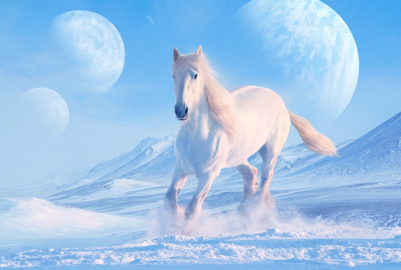 cavalo branco cavalgando no céu