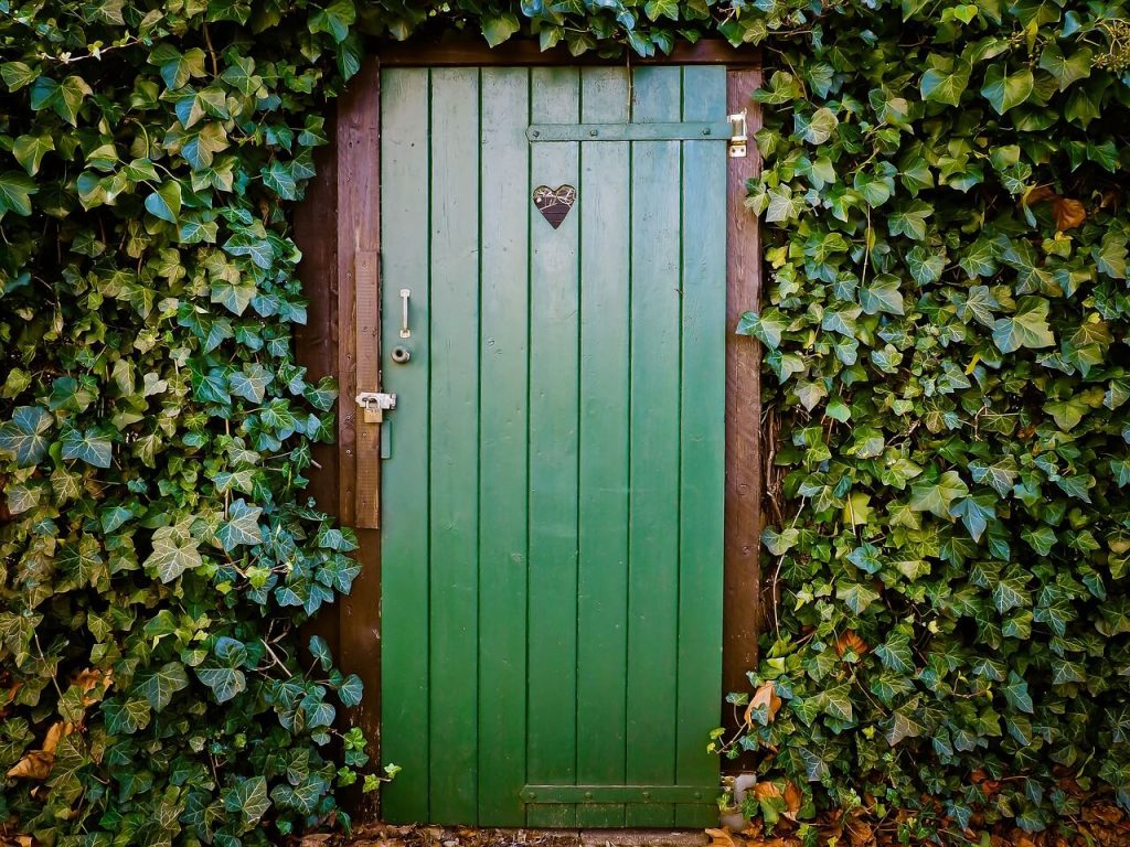 porta verde no meio do mato