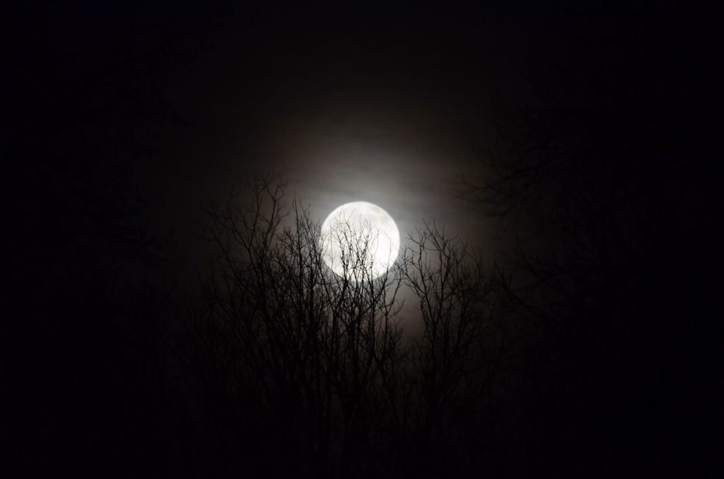 lua cheia a noite